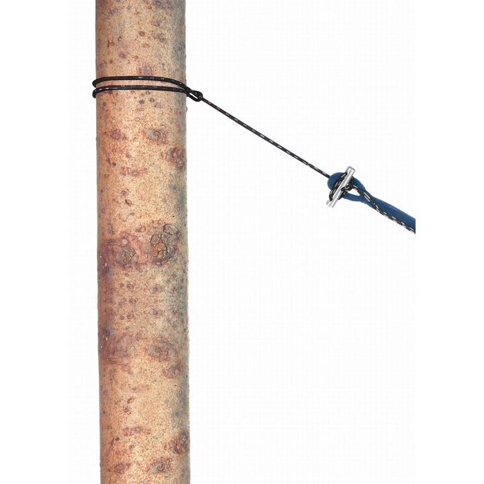 Microcorde