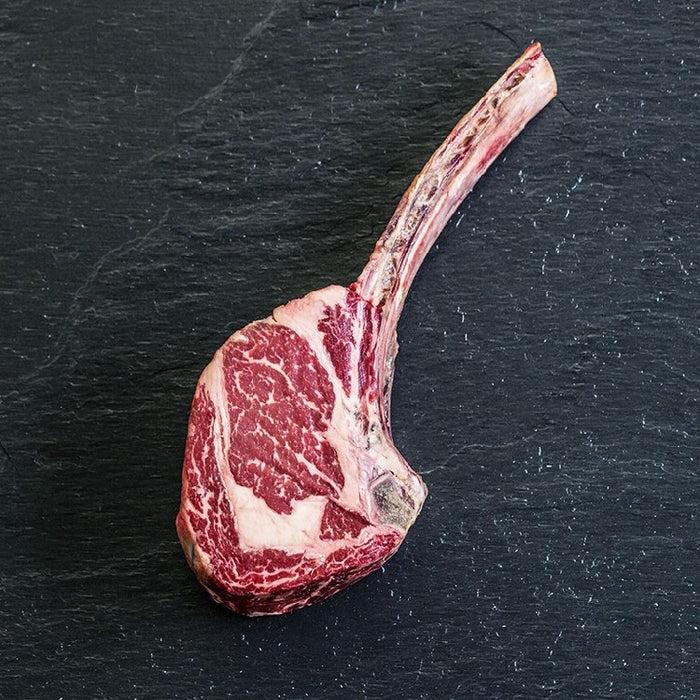 Holstein Tomahawk - vers