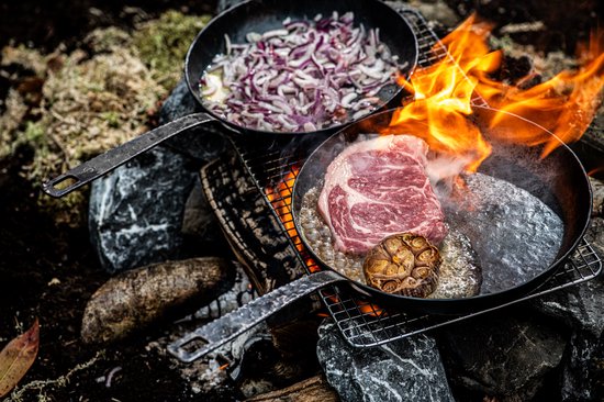 Forged Essentials braadpan Ø24 cm met steel voor alle vuren incl. inductie