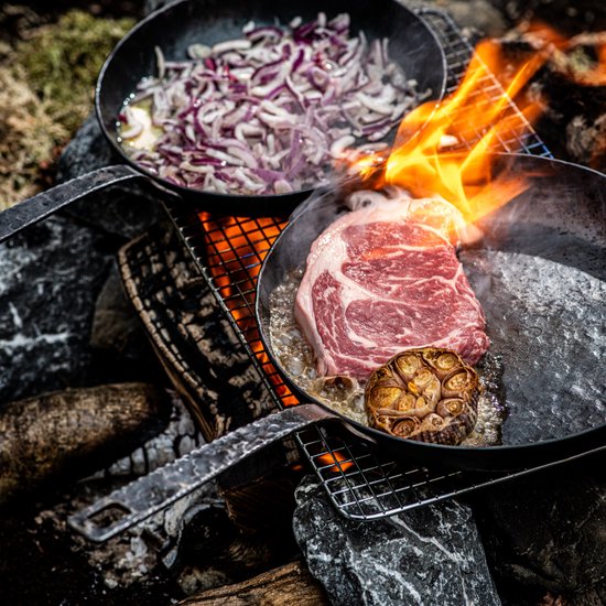 Forged Essentials braadpan Ø28 cm met steel voor alle vuren incl. inductie