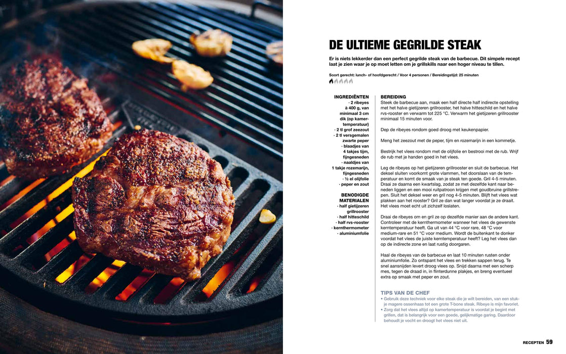 Het Ultieme Gietijzerboek